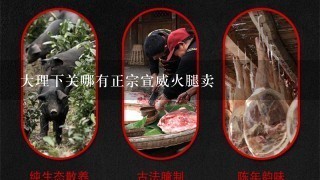 大理下关哪有正宗宣威火腿卖