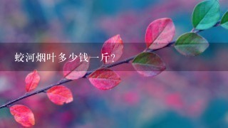 蛟河烟叶多少钱1斤？