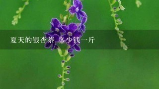 夏天的银杏茶 多少钱1斤