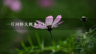 1斤河虾大概多少只