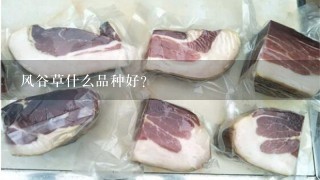 风谷草什么品种好？