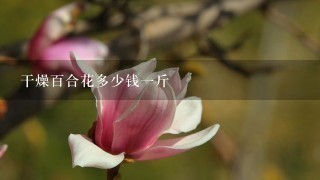 干燥百合花多少钱1斤