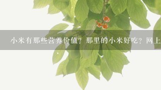 小米有那些营养价值？那里的小米好吃？网上有卖的吗