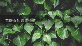 花斑鱼的营养价值