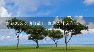 野蒜怎么吃功效最好 野蒜为什么有毒