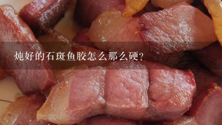 炖好的石斑鱼胶怎么那么硬？