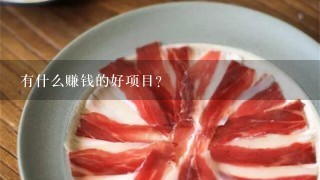 有什么赚钱的好项目？