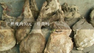 广州瘦肉30元1斤贵吗