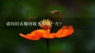 请问旧衣服回收多少钱1斤？