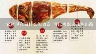 农村现在做什么能致富 可以考虑这几种出路