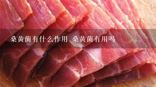 桑黄菌有什么作用 桑黄菌有用吗