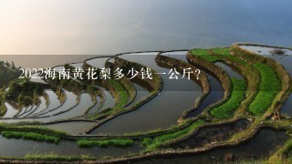 2022海南黄花梨多少钱1公斤？